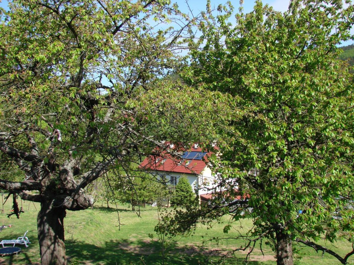 Agroturystyka Gluszyca Lomnica Lomnica  외부 사진